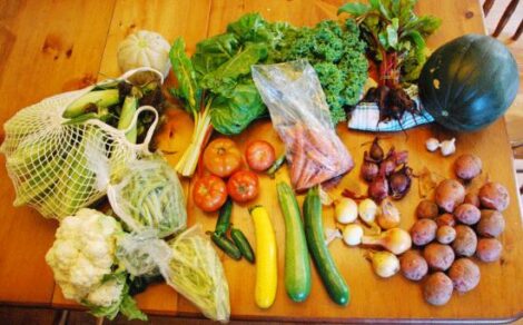 Week #11 of Sunflower Farm CSA Image